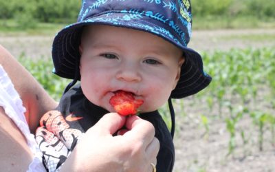 Aliments “super” pour bébé