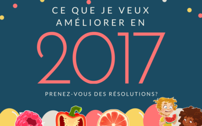 Mes “améliorations” pour 2017