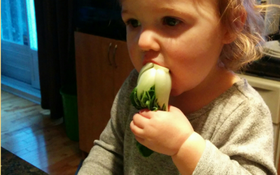 Truc pour augmenter la consommation de légumes des enfants