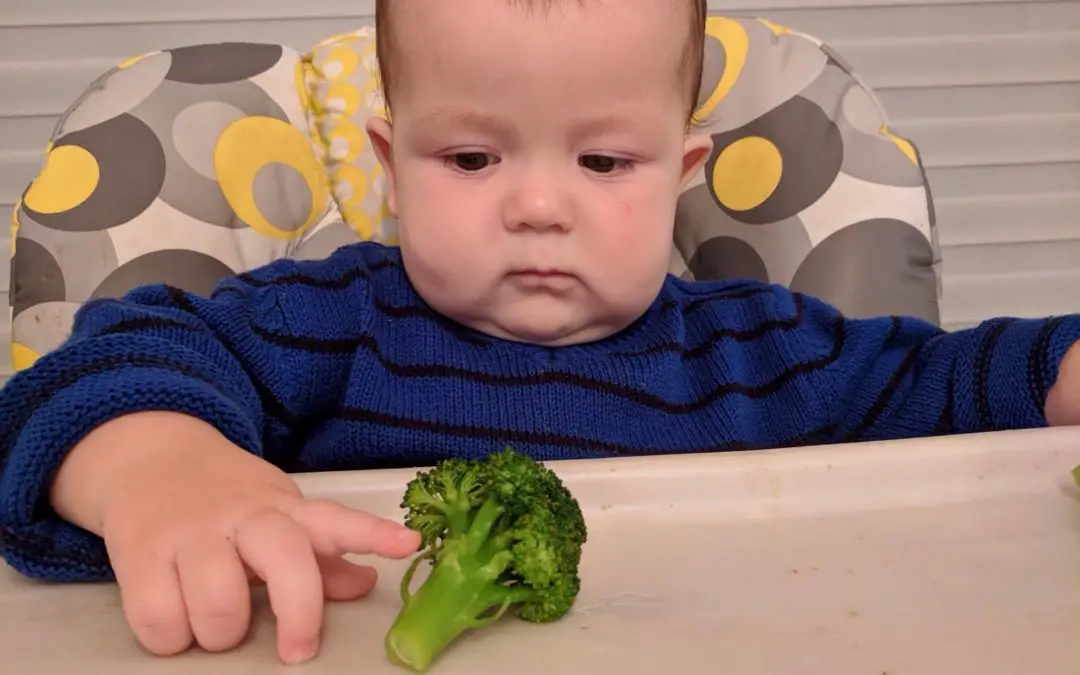 Étude de cas: bébé de 8 mois qui mange peu et ne tolère pas les textures