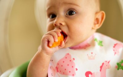 Menu DME pour bébé de 6 mois et plus