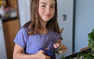 On délègue les lunchs: Recette de trempette