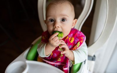5 conseils pour passer de la purée à la DME