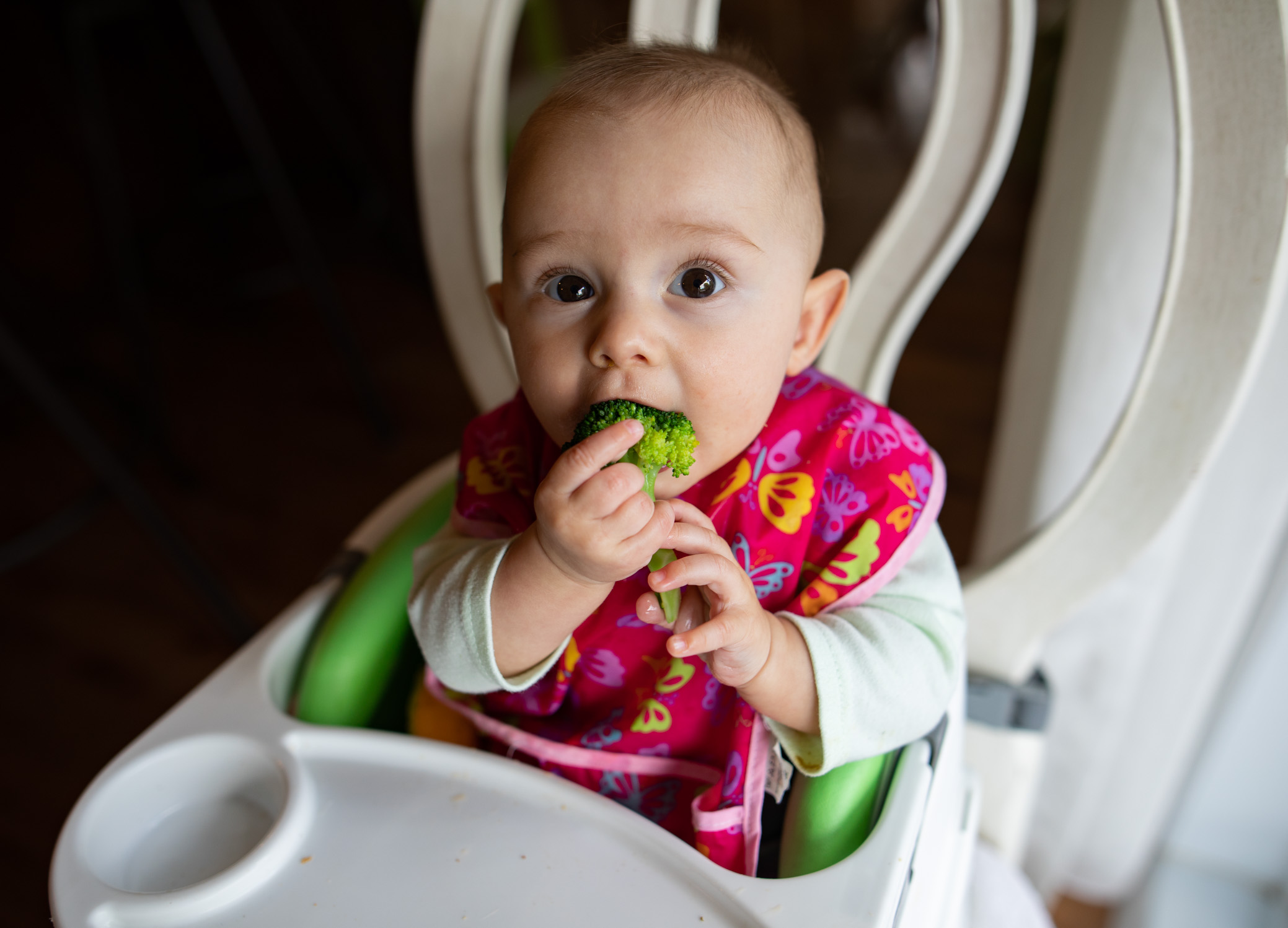 Les recettes préférées de bébé pour sa diversification alimentaire :  purées, compotes