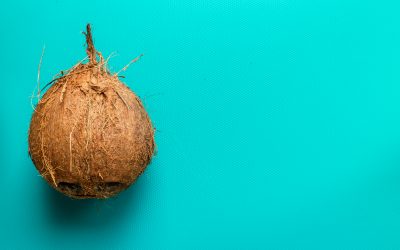 Idées d’utilisation du lait de coco pour mamans sous régime d’éviction